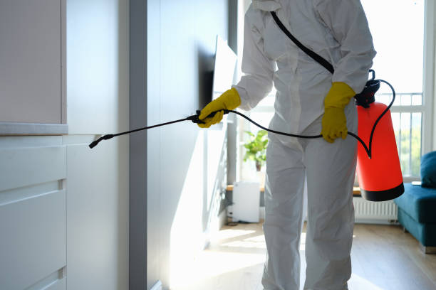 Best Toxic Mold Removal  in Tiburon, CA
