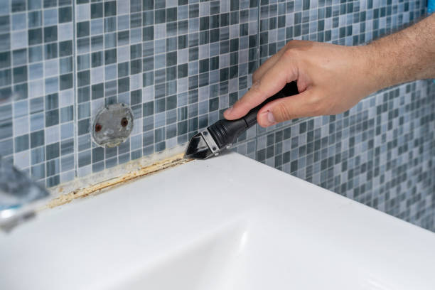 Best Best Mold Removal Companies  in Tiburon, CA