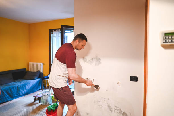  Tiburon, CA Mold Removal Pros